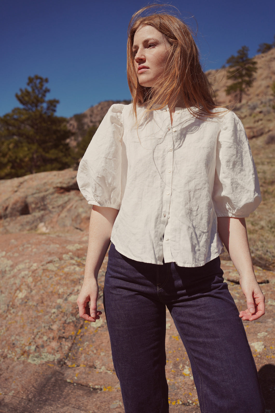 Anthea Blouse + Dress Anthea Blouse + Dress